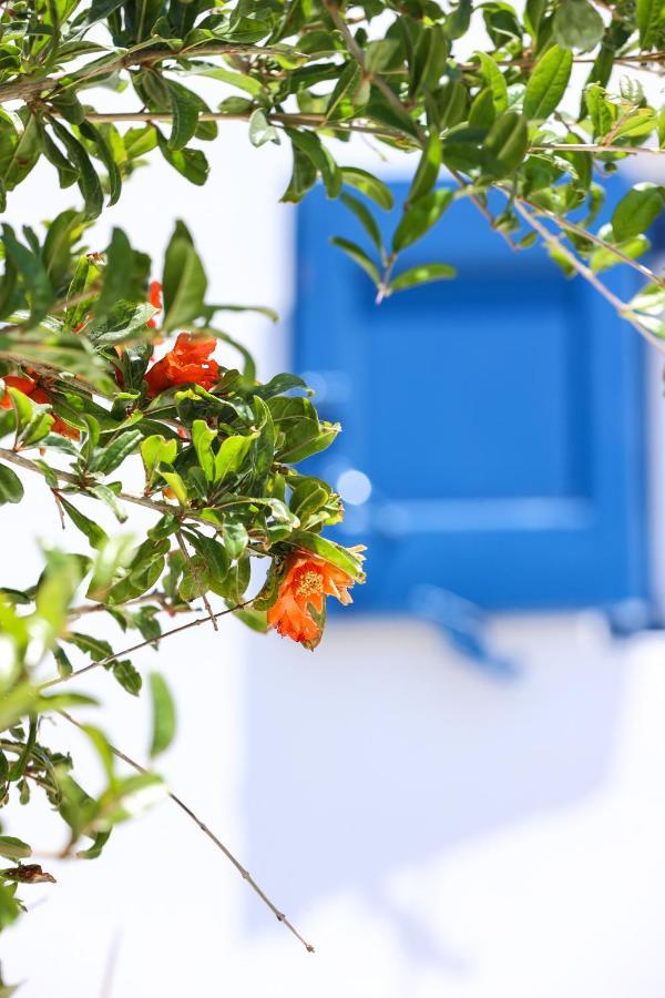 Mykonos In White Villa Mykonos Town Bagian luar foto